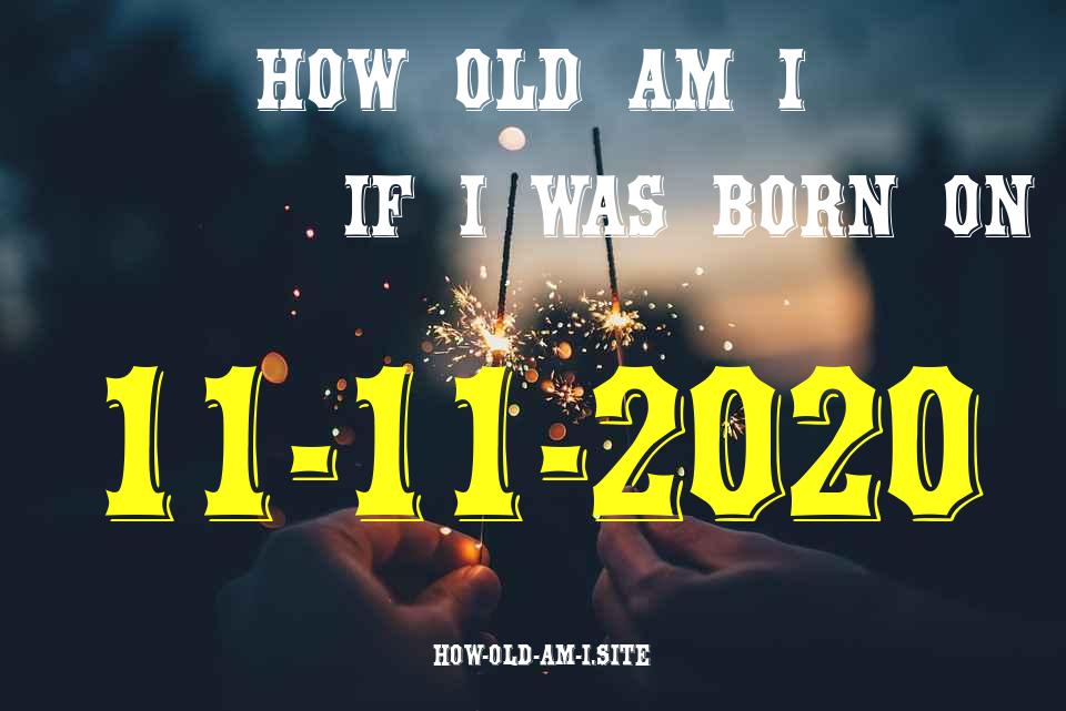 ᐈ Born On 11 November 2020 My Age in 2024? [100% ACCURATE Age Calculator!]