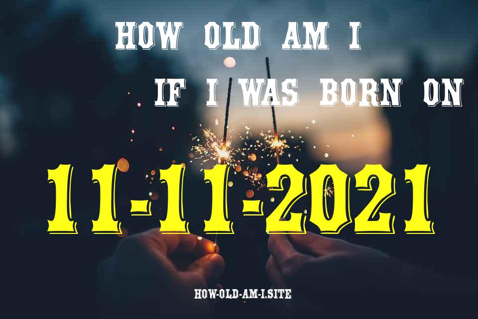 ᐈ Born On 11 November 2021 My Age in 2024? [100% ACCURATE Age Calculator!]
