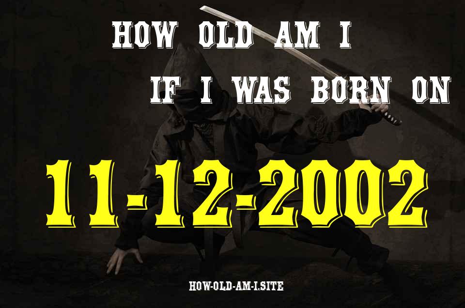 ᐈ Born On 11 December 2002 My Age in 2024? [100% ACCURATE Age Calculator!]