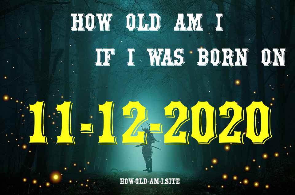 ᐈ Born On 11 December 2020 My Age in 2024? [100% ACCURATE Age Calculator!]