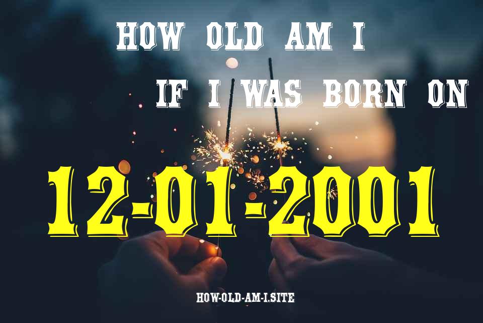 ᐈ Born On 12 January 2001 My Age in 2024? [100% ACCURATE Age Calculator!]