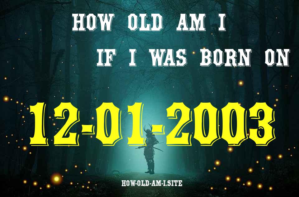 ᐈ Born On 12 January 2003 My Age in 2024? [100% ACCURATE Age Calculator!]