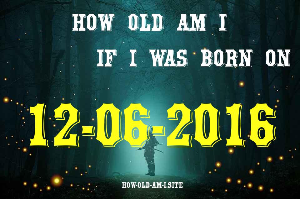 ᐈ Born On 12 June 2016 My Age in 2024? [100% ACCURATE Age Calculator!]