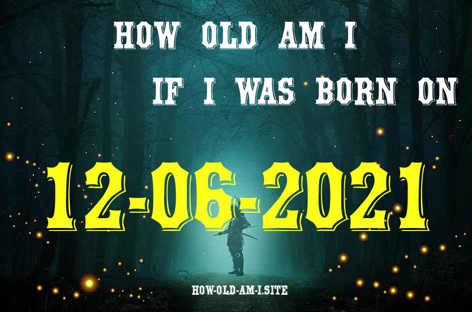 ᐈ Born On 12 June 2021 My Age in 2024? [100% ACCURATE Age Calculator!]
