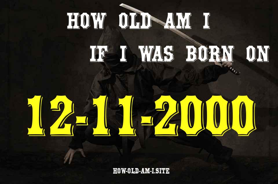 ᐈ Born On 12 November 2000 My Age in 2024? [100% ACCURATE Age Calculator!]