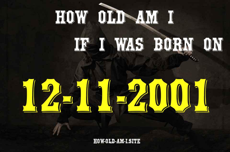 ᐈ Born On 12 November 2001 My Age in 2024? [100% ACCURATE Age Calculator!]