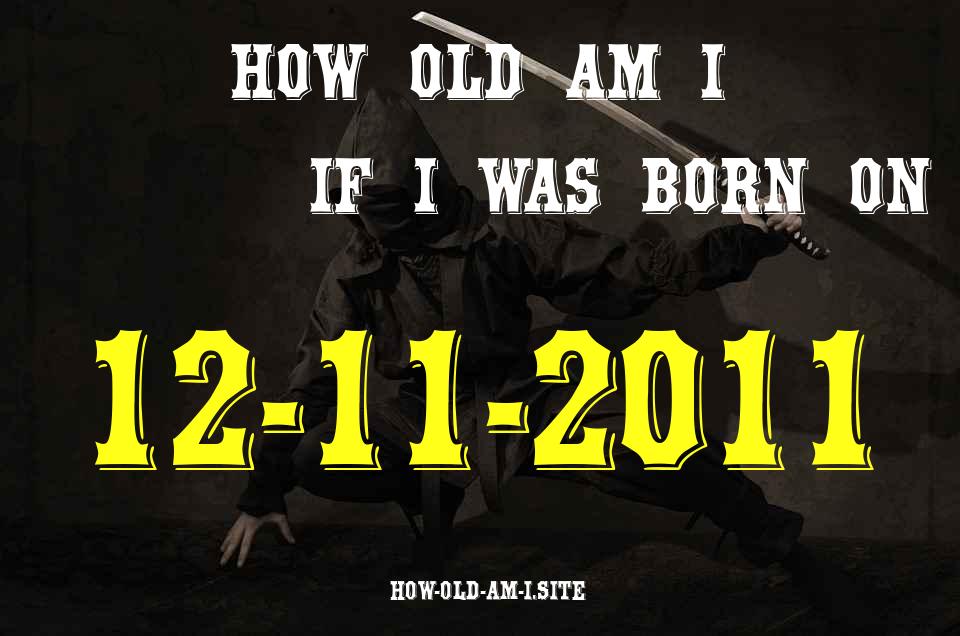 ᐈ Born On 12 November 2011 My Age in 2024? [100% ACCURATE Age Calculator!]