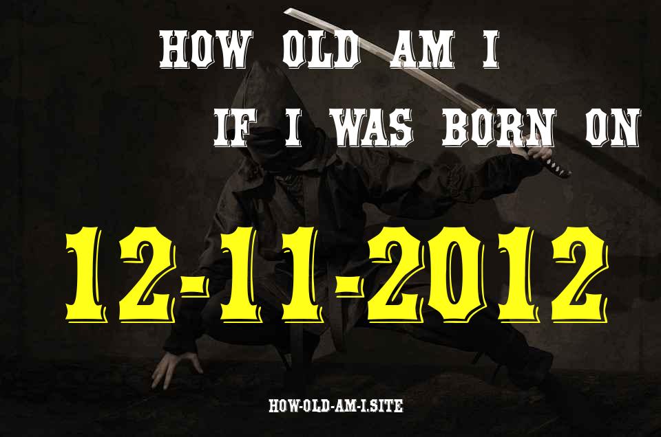 ᐈ Born On 12 November 2012 My Age in 2024? [100% ACCURATE Age Calculator!]
