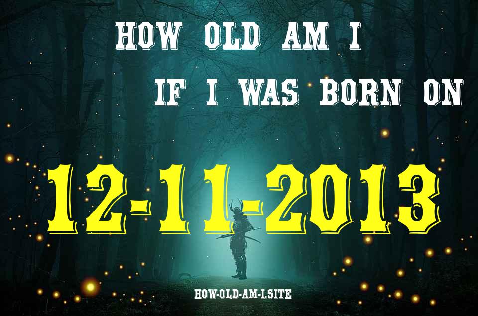 ᐈ Born On 12 November 2013 My Age in 2024? [100% ACCURATE Age Calculator!]
