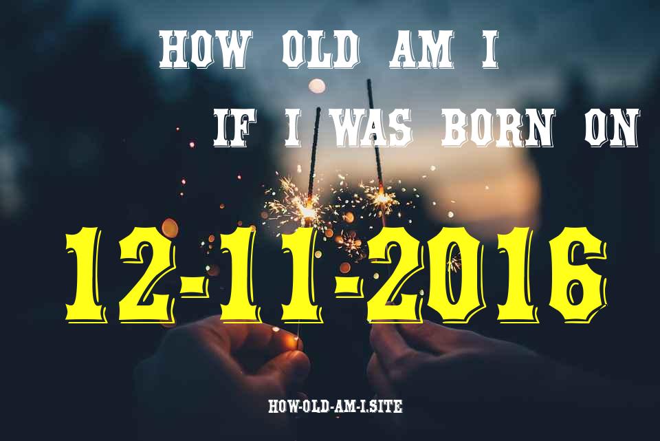 ᐈ Born On 12 November 2016 My Age in 2024? [100% ACCURATE Age Calculator!]