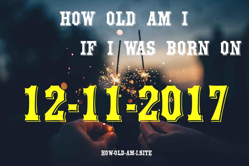 ᐈ Born On 12 November 2017 My Age in 2024? [100% ACCURATE Age Calculator!]