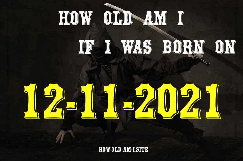 ᐈ Born On 12 November 2021 My Age in 2024? [100% ACCURATE Age Calculator!]