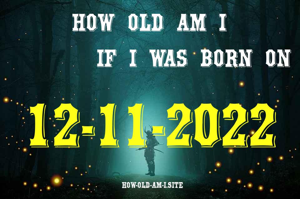 ᐈ Born On 12 November 2022 My Age in 2024? [100% ACCURATE Age Calculator!]