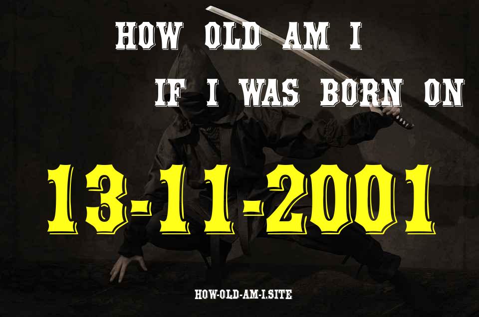 ᐈ Born On 13 November 2001 My Age in 2024? [100% ACCURATE Age Calculator!]