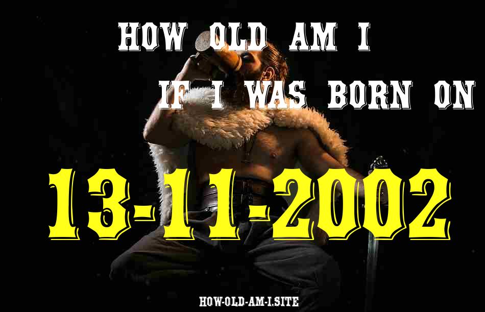 ᐈ Born On 13 November 2002 My Age in 2024? [100% ACCURATE Age Calculator!]