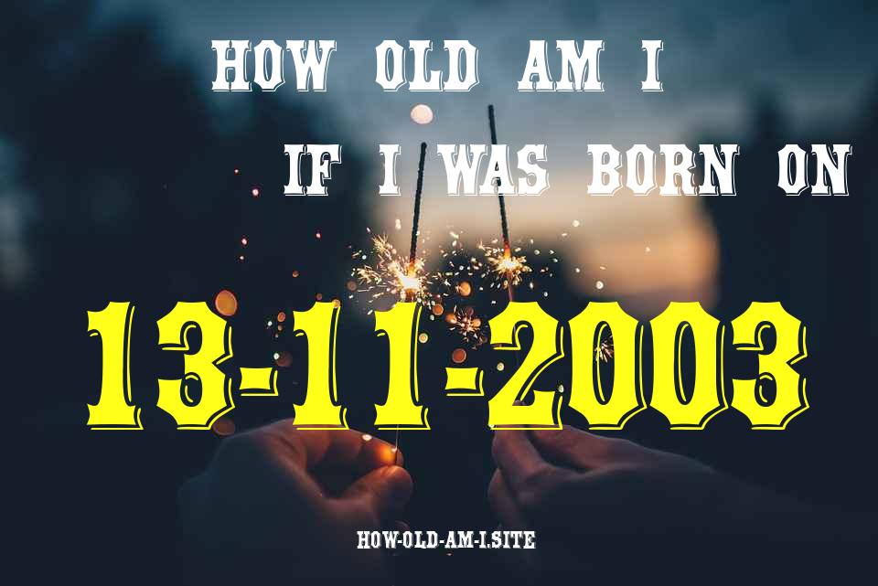ᐈ Born On 13 November 2003 My Age in 2024? [100% ACCURATE Age Calculator!]