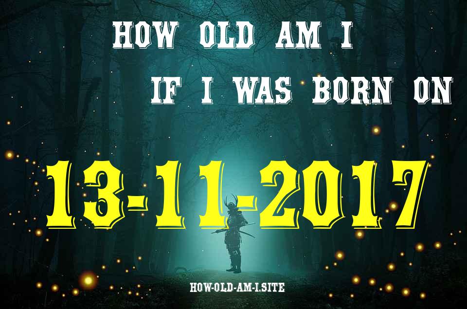ᐈ Born On 13 November 2017 My Age in 2024? [100% ACCURATE Age Calculator!]
