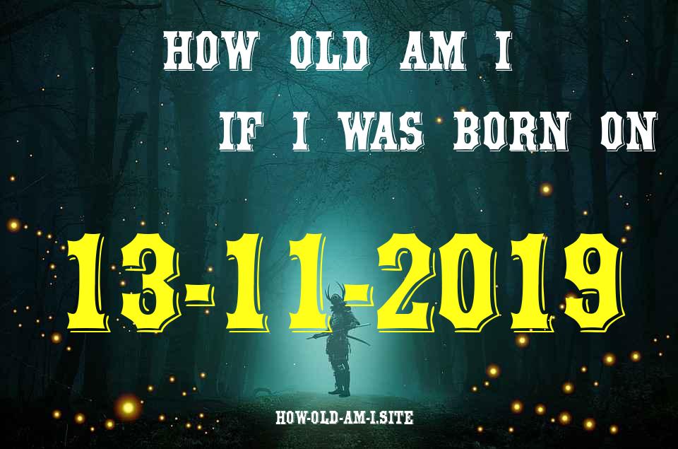 ᐈ Born On 13 November 2019 My Age in 2024? [100% ACCURATE Age Calculator!]