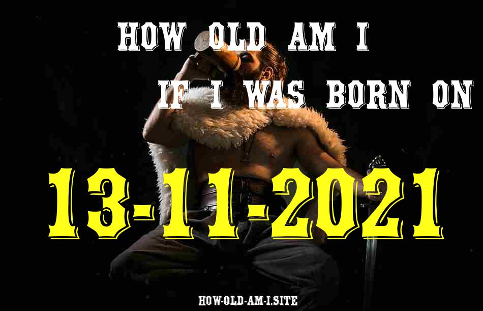 ᐈ Born On 13 November 2021 My Age in 2024? [100% ACCURATE Age Calculator!]