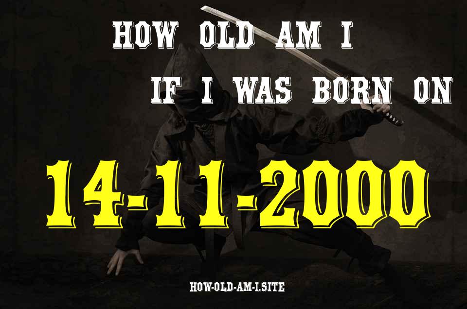 ᐈ Born On 14 November 2000 My Age in 2024? [100% ACCURATE Age Calculator!]