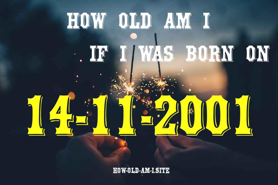 ᐈ Born On 14 November 2001 My Age in 2024? [100% ACCURATE Age Calculator!]