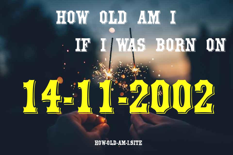ᐈ Born On 14 November 2002 My Age in 2024? [100% ACCURATE Age Calculator!]