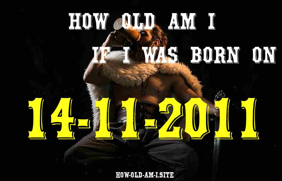 ᐈ Born On 14 November 2011 My Age in 2024? [100% ACCURATE Age Calculator!]