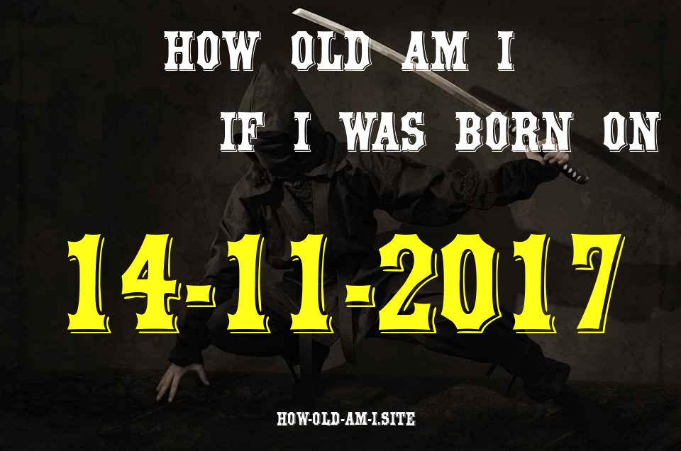 ᐈ Born On 14 November 2017 My Age in 2024? [100% ACCURATE Age Calculator!]