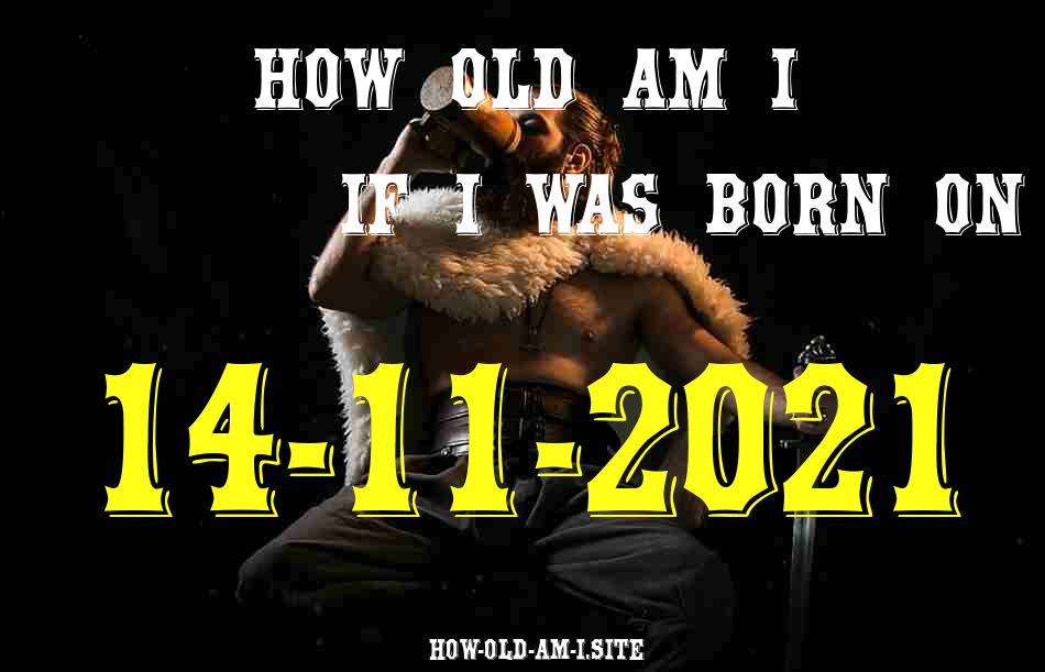 ᐈ Born On 14 November 2021 My Age in 2024? [100% ACCURATE Age Calculator!]