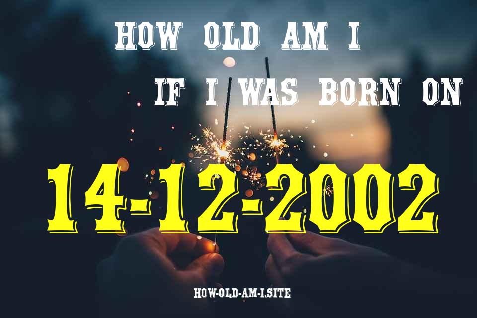 ᐈ Born On 14 December 2002 My Age in 2024? [100% ACCURATE Age Calculator!]