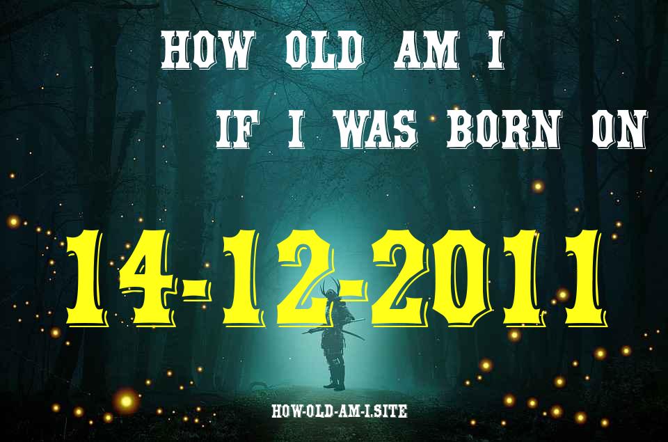 ᐈ Born On 14 December 2011 My Age in 2024? [100% ACCURATE Age Calculator!]
