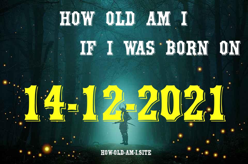 ᐈ Born On 14 December 2021 My Age in 2024? [100% ACCURATE Age Calculator!]
