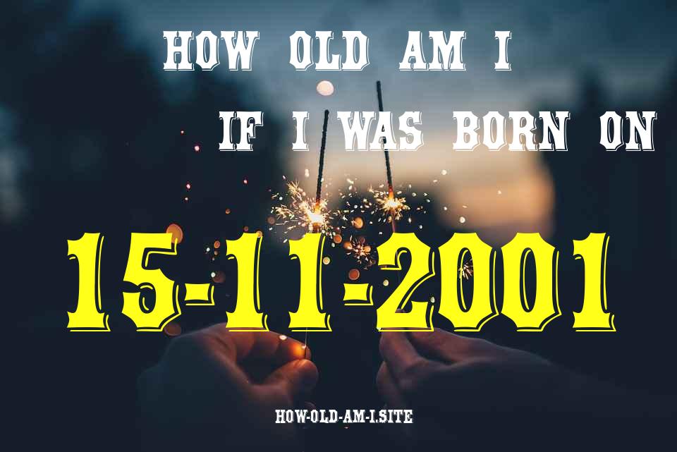 ᐈ Born On 15 November 2001 My Age in 2024? [100% ACCURATE Age Calculator!]