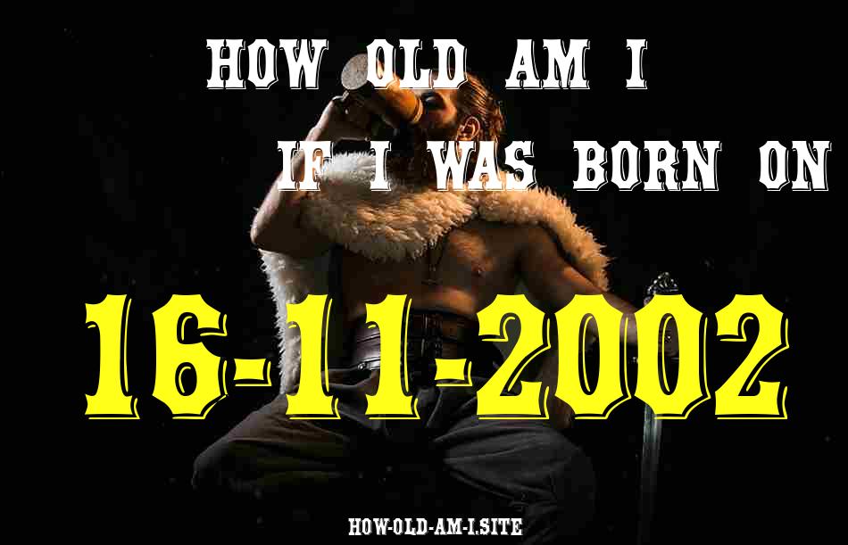 ᐈ Born On 16 November 2002 My Age in 2024? [100% ACCURATE Age Calculator!]