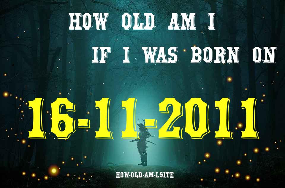 ᐈ Born On 16 November 2011 My Age in 2024? [100% ACCURATE Age Calculator!]