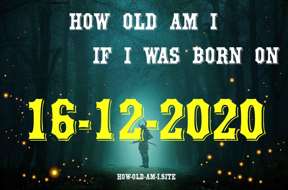 ᐈ Born On 16 December 2020 My Age in 2024? [100% ACCURATE Age Calculator!]