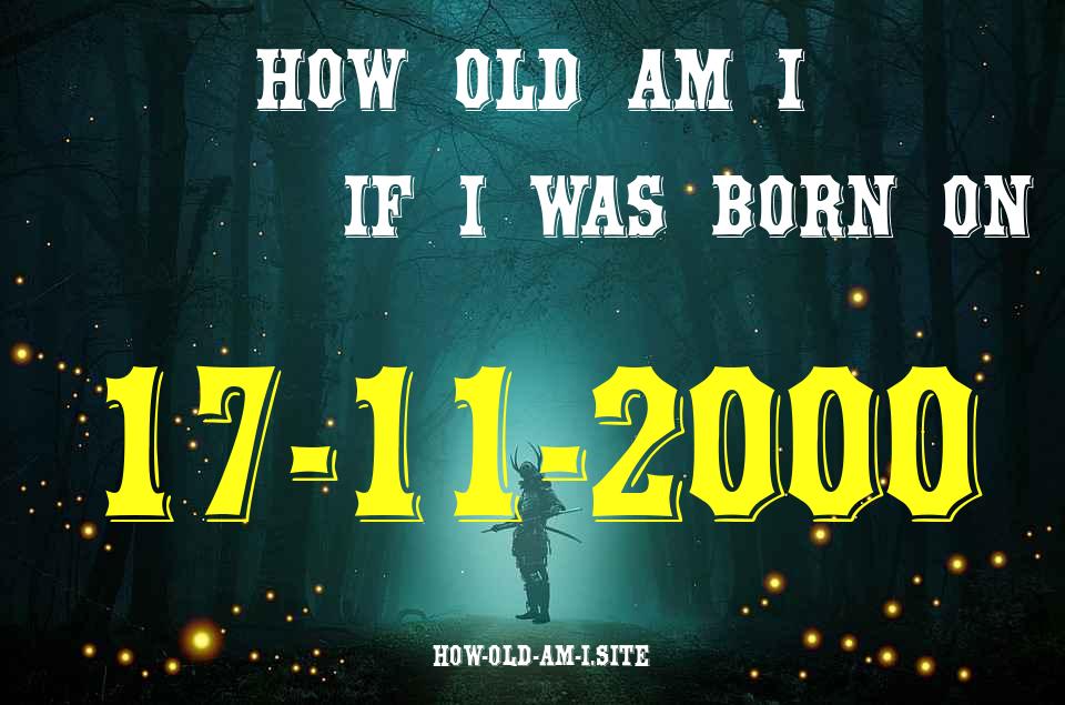 ᐈ Born On 17 November 2000 My Age in 2024? [100% ACCURATE Age Calculator!]