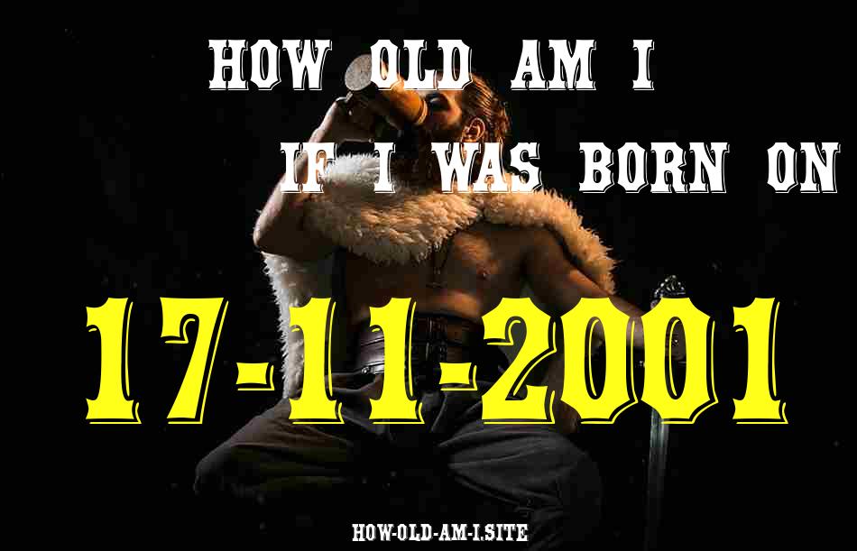 ᐈ Born On 17 November 2001 My Age in 2024? [100% ACCURATE Age Calculator!]