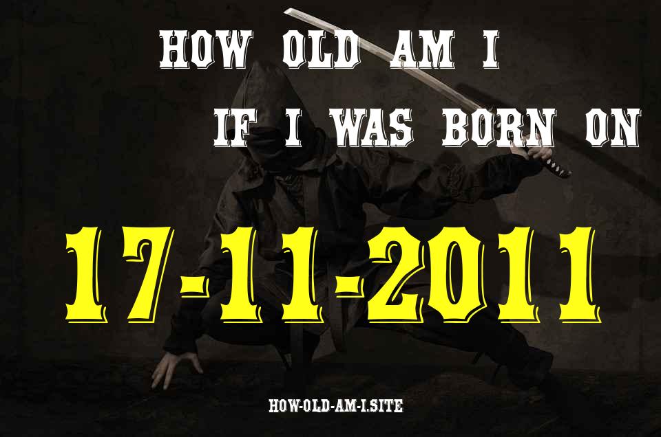 ᐈ Born On 17 November 2011 My Age in 2024? [100% ACCURATE Age Calculator!]