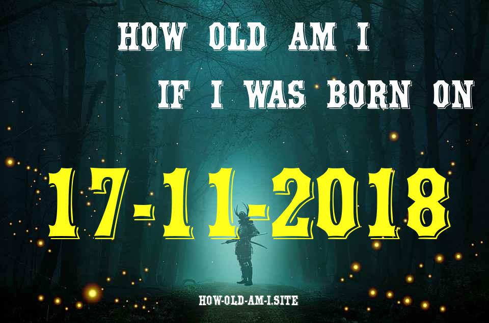 ᐈ Born On 17 November 2018 My Age in 2024? [100% ACCURATE Age Calculator!]