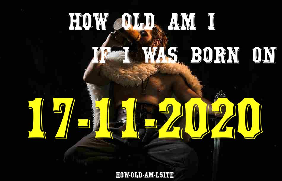 ᐈ Born On 17 November 2020 My Age in 2024? [100% ACCURATE Age Calculator!]