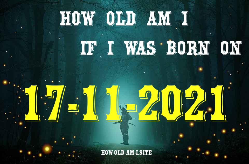 ᐈ Born On 17 November 2021 My Age in 2024? [100% ACCURATE Age Calculator!]