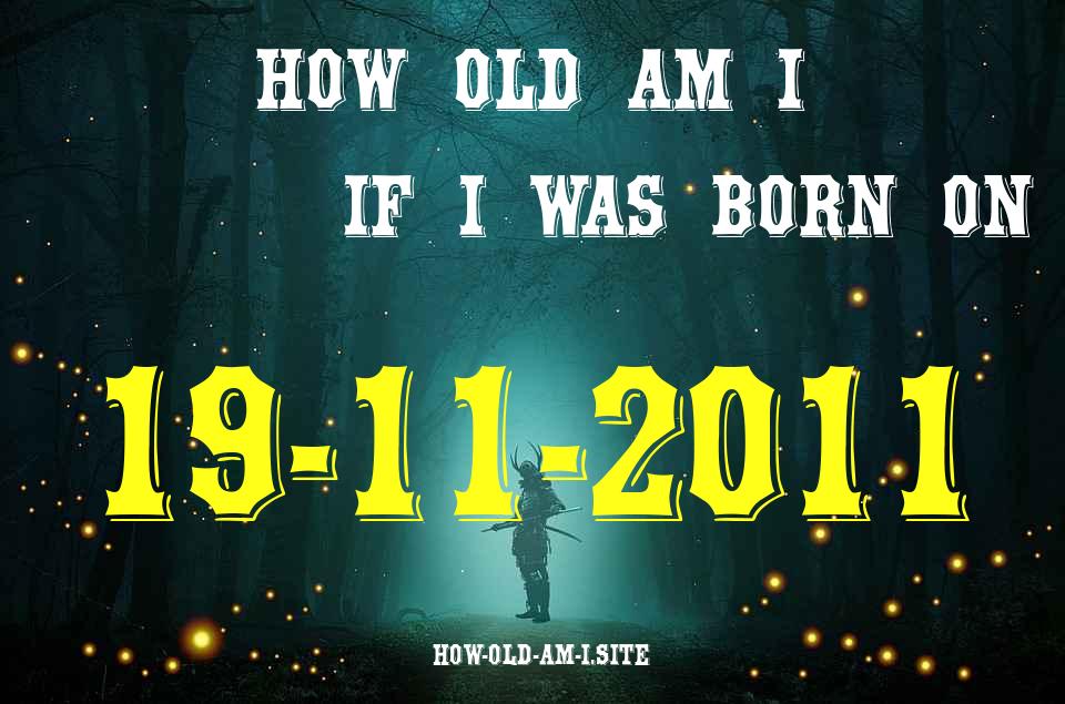 ᐈ Born On 19 November 2011 My Age in 2024? [100% ACCURATE Age Calculator!]