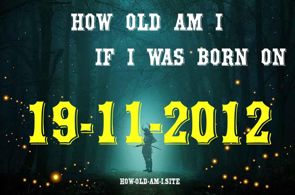 ᐈ Born On 19 November 2012 My Age in 2024? [100% ACCURATE Age Calculator!]