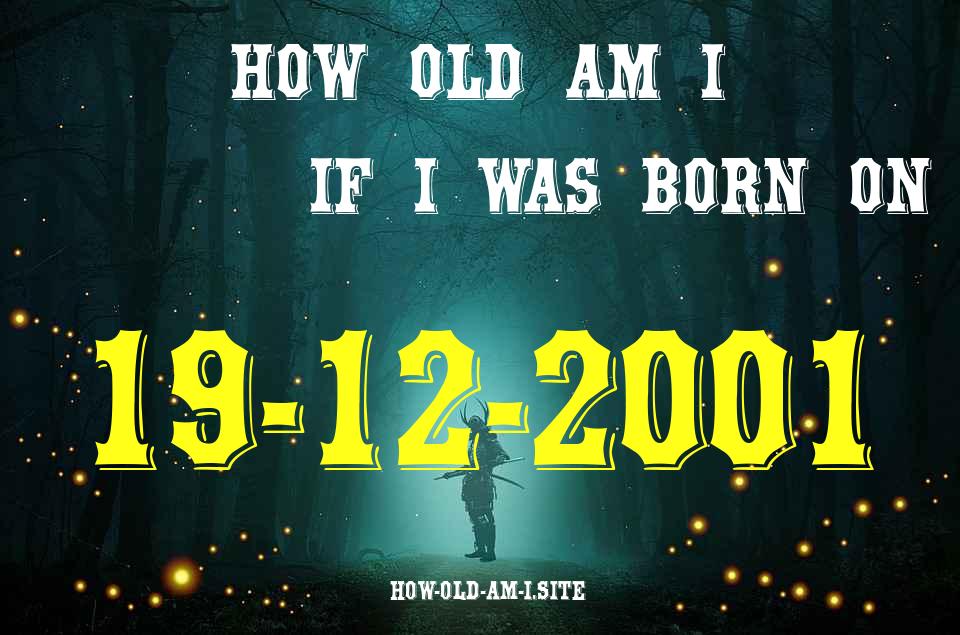 ᐈ Born On 19 December 2001 My Age in 2024? [100% ACCURATE Age Calculator!]