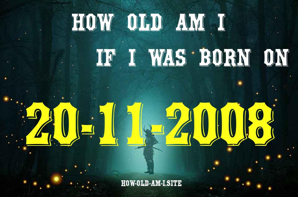 ᐈ Born On 20 November 2008 My Age in 2024? [100% ACCURATE Age Calculator!]