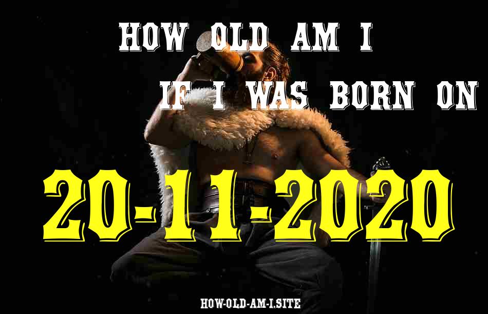 ᐈ Born On 20 November 2020 My Age in 2024? [100% ACCURATE Age Calculator!]