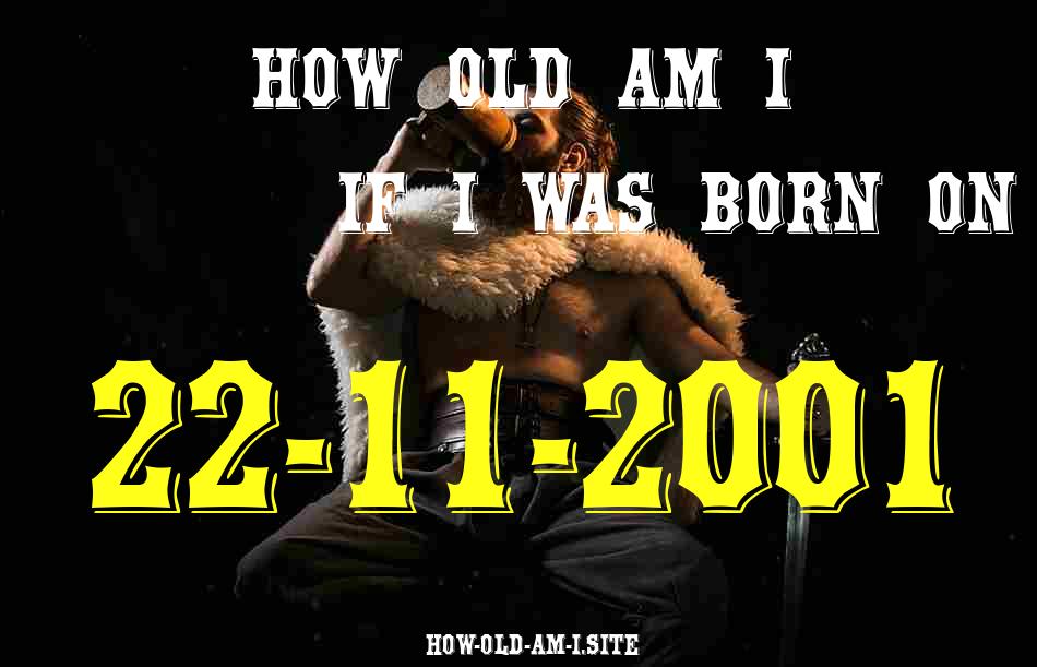 ᐈ Born On 22 November 2001 My Age in 2024? [100% ACCURATE Age Calculator!]