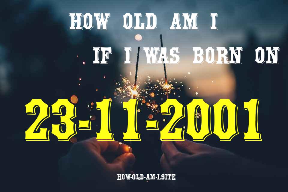 ᐈ Born On 23 November 2001 My Age in 2024? [100% ACCURATE Age Calculator!]