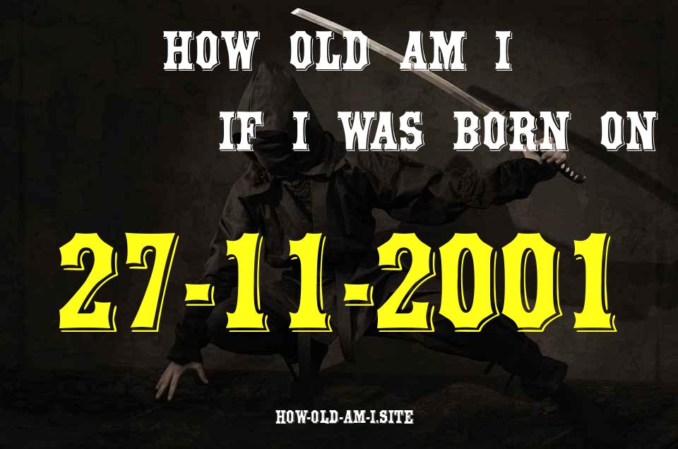 ᐈ Born On 27 November 2001 My Age in 2024? [100% ACCURATE Age Calculator!]